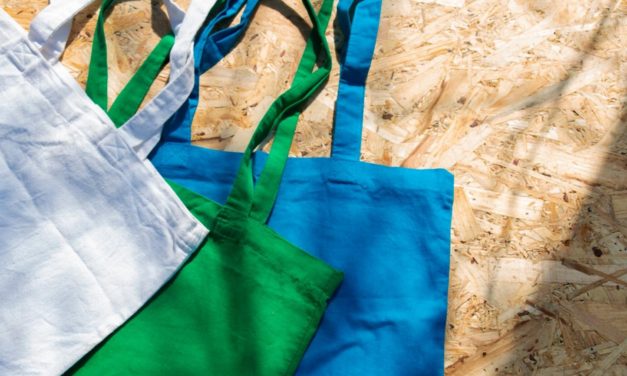 Creative Cotton Bags Designs to Elevate Your Business
