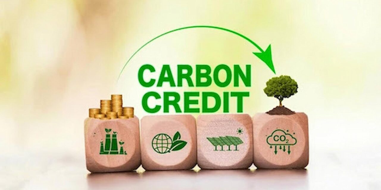 How to Choose a Reliable Carbon Credit Company in 2025