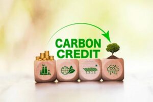 Carbon Credit