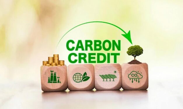 How to Choose a Reliable Carbon Credit Company in 2025