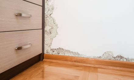 How To Prevent Damp From Entering Your Home