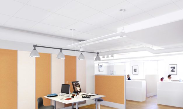 Making Your Office Eco-Friendly With The Movable Walls