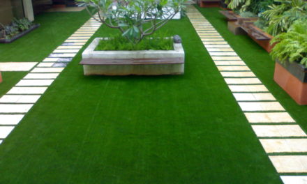 Precautions Before Place Order For Supplying Artificial Grass To Ipswich