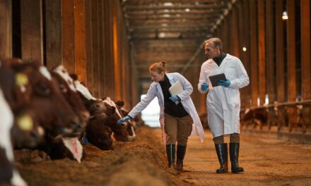 Raising Healthy Cattle: An Expert’s Guide