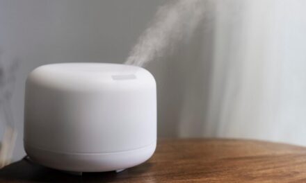 How does the humidifier integrate sustainable technologies?