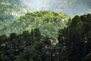 cottages in shimla