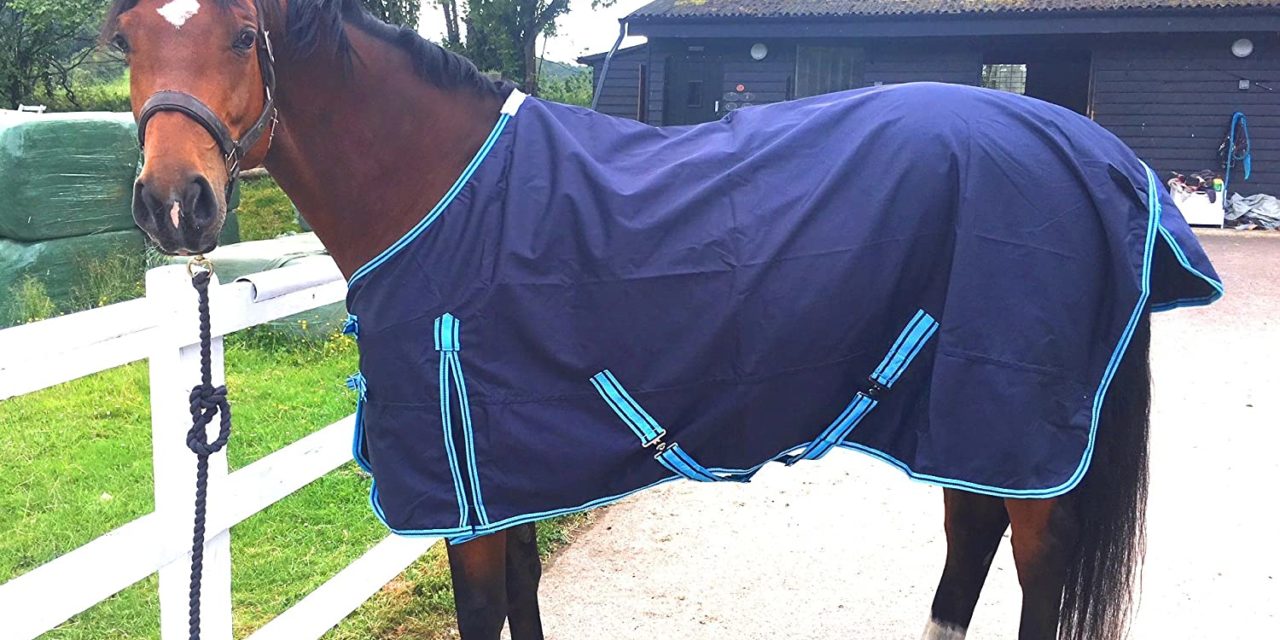 Signs That Your Horse’s Rug Doesn’t Fit Correctly
