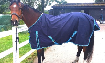 Signs That Your Horse’s Rug Doesn’t Fit Correctly